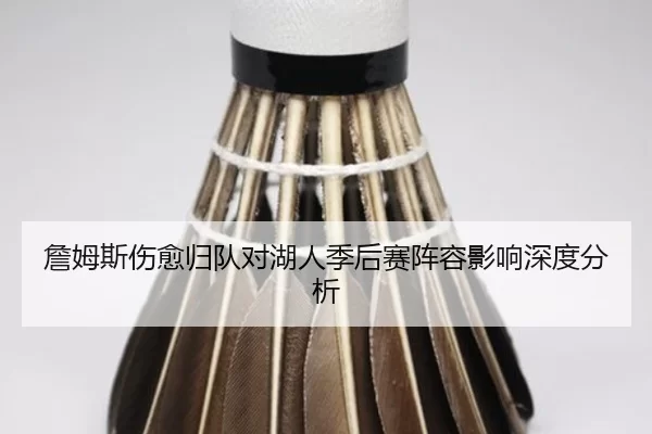 詹姆斯伤愈归队对湖人季后赛阵容影响深度分析